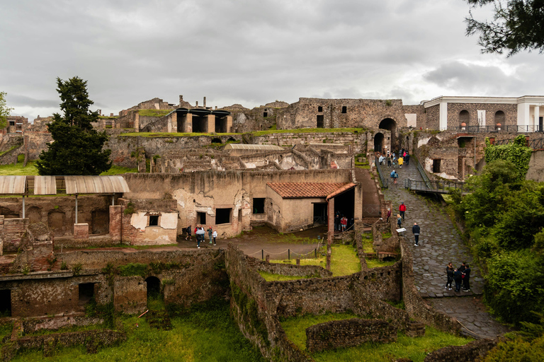From Naples: Pompeii and Vesuvius Day Tour