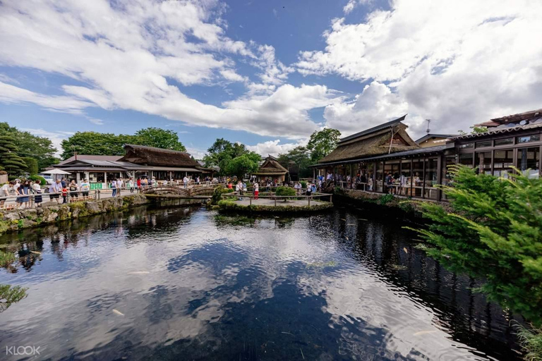 Visite privée personnalisée au Mont Fuji