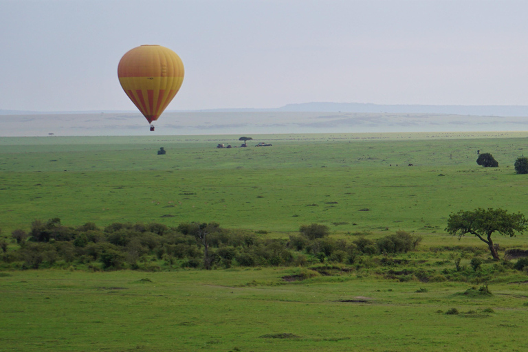 Tour nel Parco Nazionale del Serengeti e nel Cratere di Ngorongoro, partendo da ArushaEsplora il Parco Nazionale del Serengeti e il cratere di Ngorongoro per 3 giorni