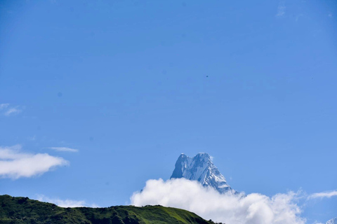 Nepal: excursão de 11 dias ao acampamento base do Annapurna e Chitwan