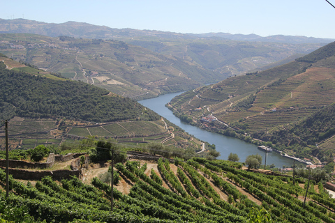 Porto: Douro Valley Half-Day Wine and Food Tour Tour with Hotel Pickup