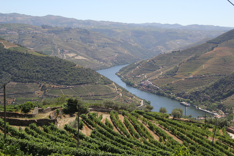 Porto: Douro Valley Half-Day Wine and Food Tour Tour with Hotel Pickup