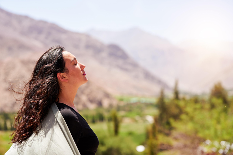 Elqui Valley Tour: Patrimonial and Natural