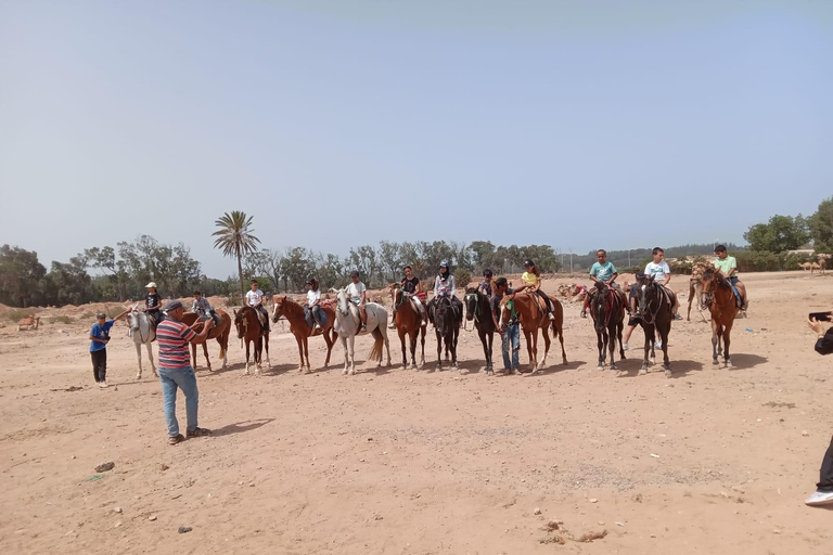 Agadir: Beginner Horse Ride Along the Souss River