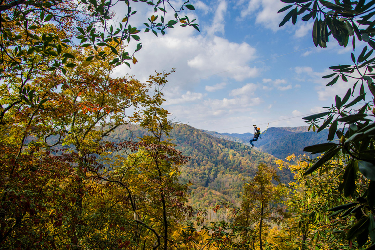 Saluda: Zipline Canopy Tour with Rappels and Skybridge