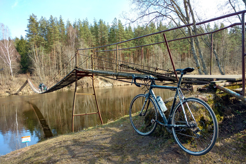 Vilnius: Customizable Bicycle or Walking Tour
