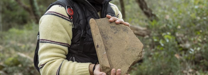La forêt de Lamone : entre brigands et charbonniers
