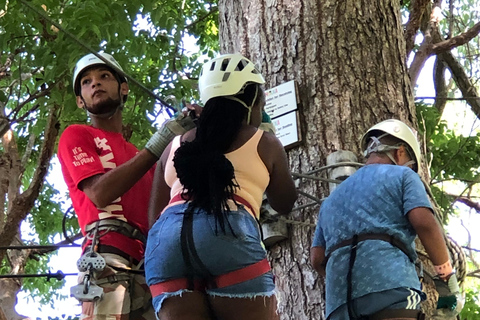 Montego Bay: ATV, Zipline, Catamaran, and Horseback Tour