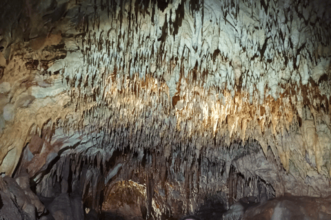 From Skopje: Kosovo Highlights Day Trip with Guide