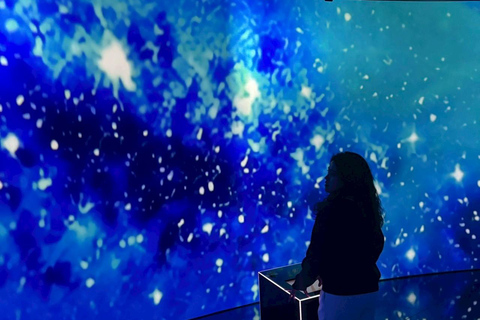 Osaka: MIRACLE WORLD Digital Art Admission Pass(E-ticket)