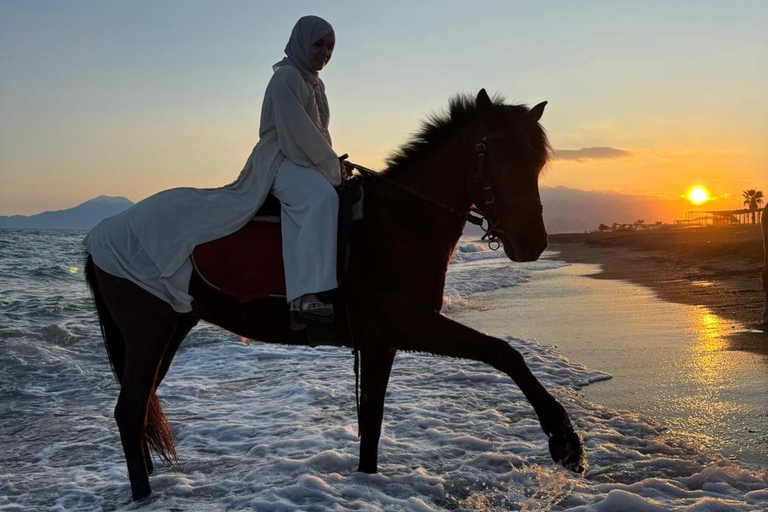 Antalya: Horseback Riding Tour with Hotel Pickup Transfer Excluded