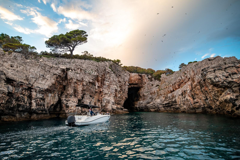 Dubrovnik : Les secrets des îles Elafiti en bateauVisite d&#039;une jounée