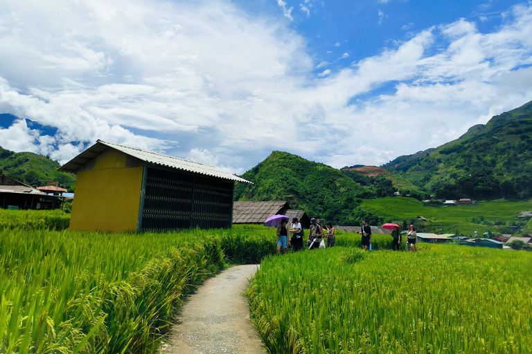 Von Hanoi: 3 Nächte 3 Tage Sapa Tour mit dem Nachtzug