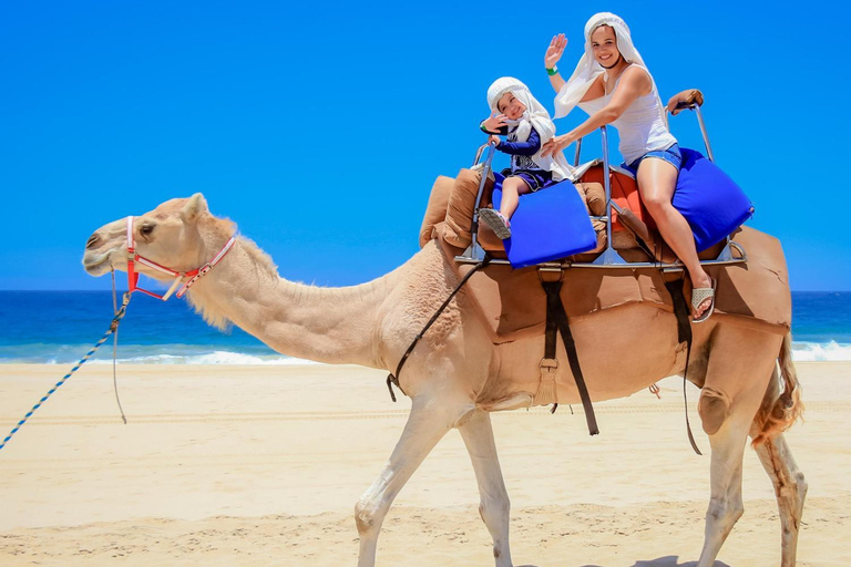 Camel Ride: Experience the Beauty of Tangier Beach at Sunset