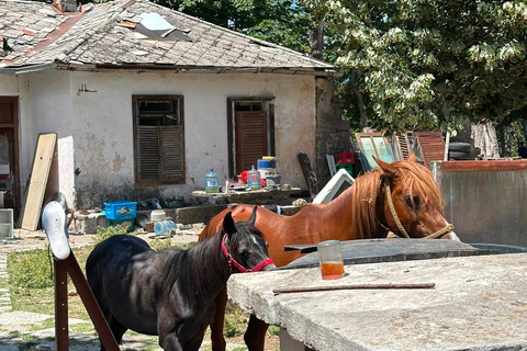 Kotor: visit fort Gorazda and Goran's Farm with ATV quad