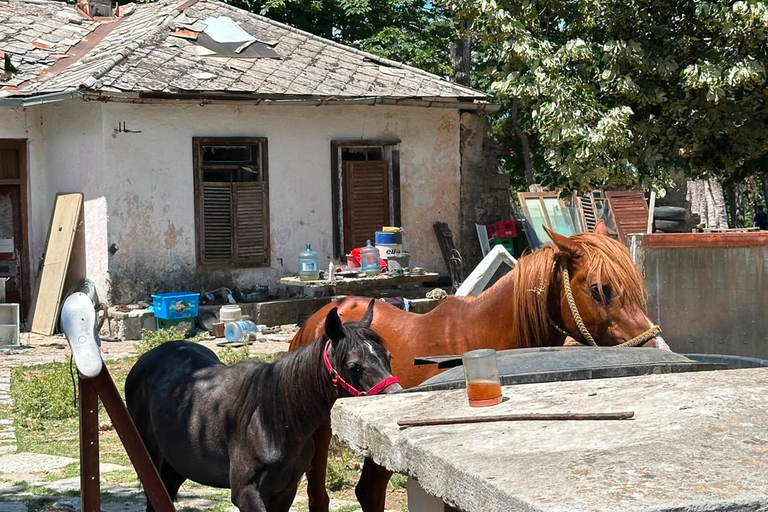 Kotor: visit fort Gorazda and Goran's Farm with ATV quad
