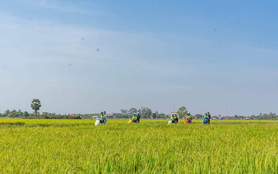 Siem Reap Excursi N Guiada En Vespa Al Atardecer Y Pueblos Locales