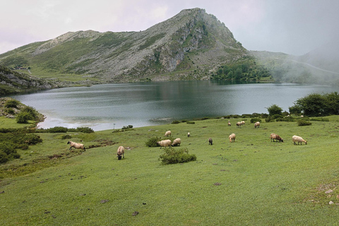 Small-Group Excursion to the Lakes of Covadonga and Cangas de Onís Departure from Gijón