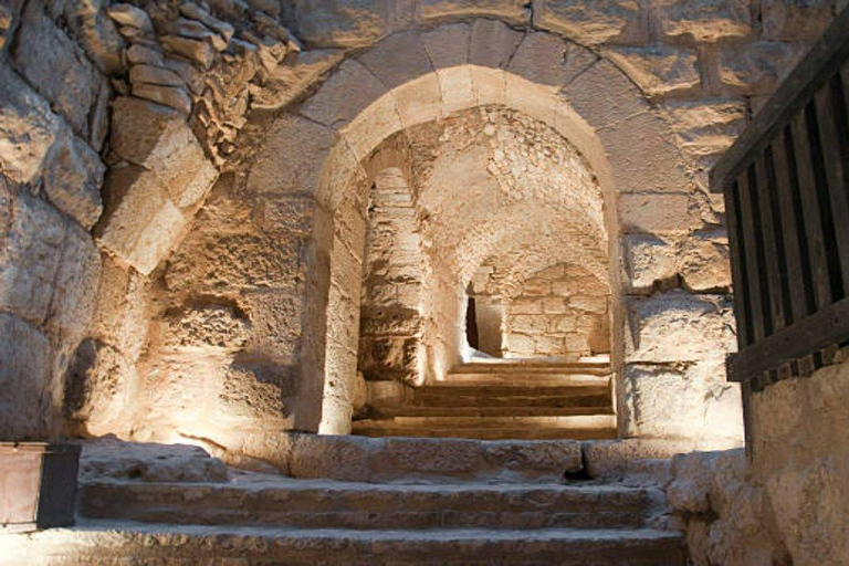 Private Tour from Amman to Jerash, Ajloun Castle & Umm Qais Trip includes Transfer,lunch,Guide in Jerash & Entrance fees