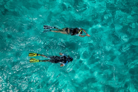 Nurkowanie z rurką Rezerwat morski GarajauZ Funchal: Snorkeling w rezerwacie morskim Garajau