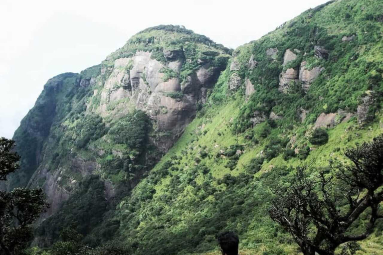 Kandy: Five Peaks Cloud Forest Adventure