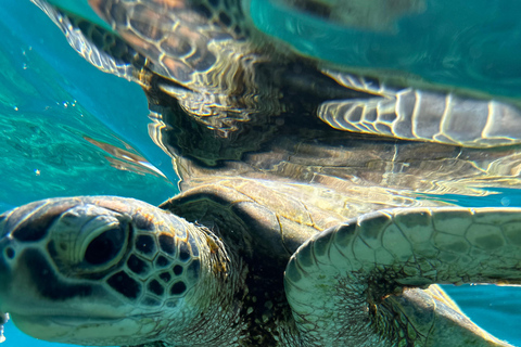 Private Snorkeling Tour - Ad Dimaniyat Islands