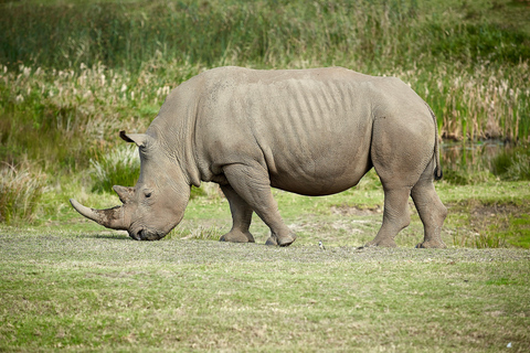 Best 3-Day Mount Meru Hike | ISMANI TOURS & SAFARIS