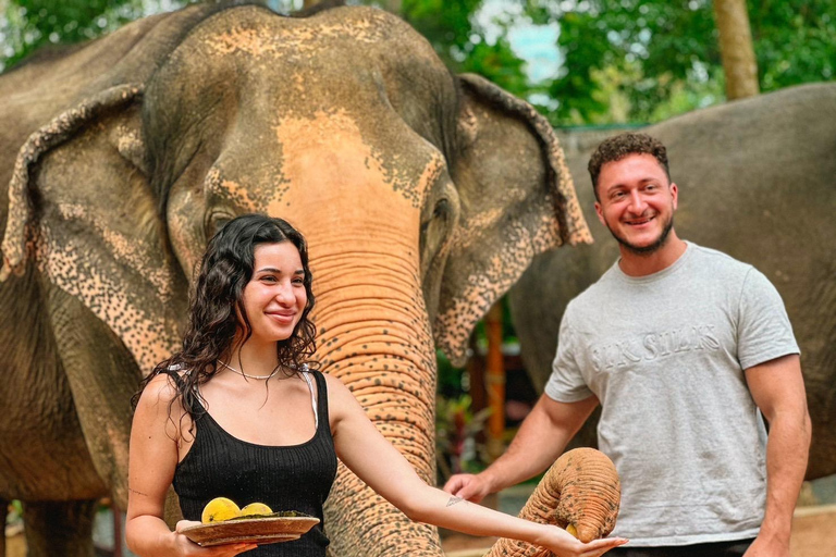 Koh Samui: Ethical Elephant Home Guided Tour with Transfers
