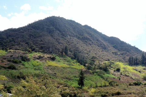 Chaparri Ecological Reserve Escapade