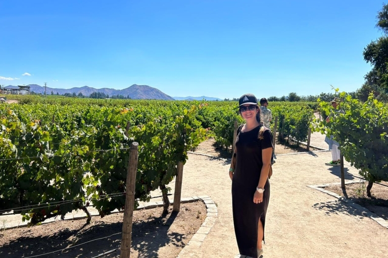 The best of Maipo Valley Wine Tour