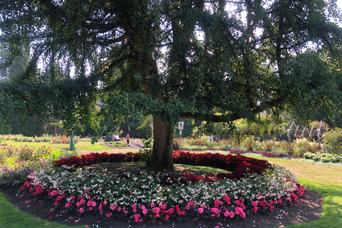 Stanley Park Autotocht: Comfort &amp; Goedkoper Dan Fietsverhuur/Tour