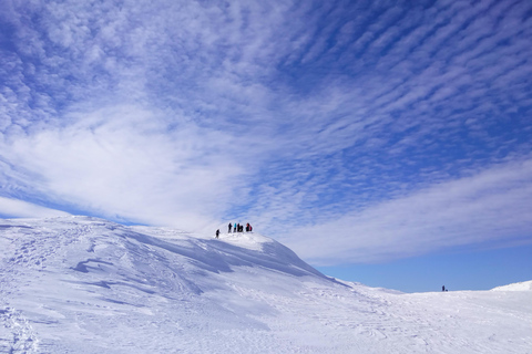 Snowshoeing on Mount Jahorina