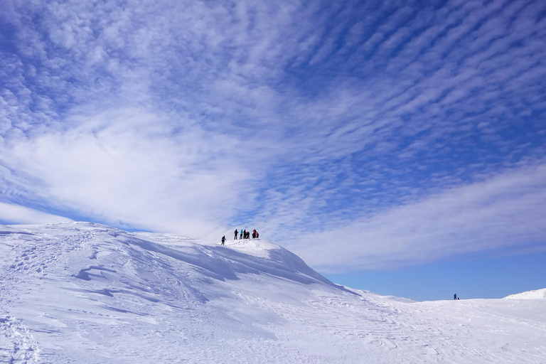 Faz snowshoeing no Monte Jahorina