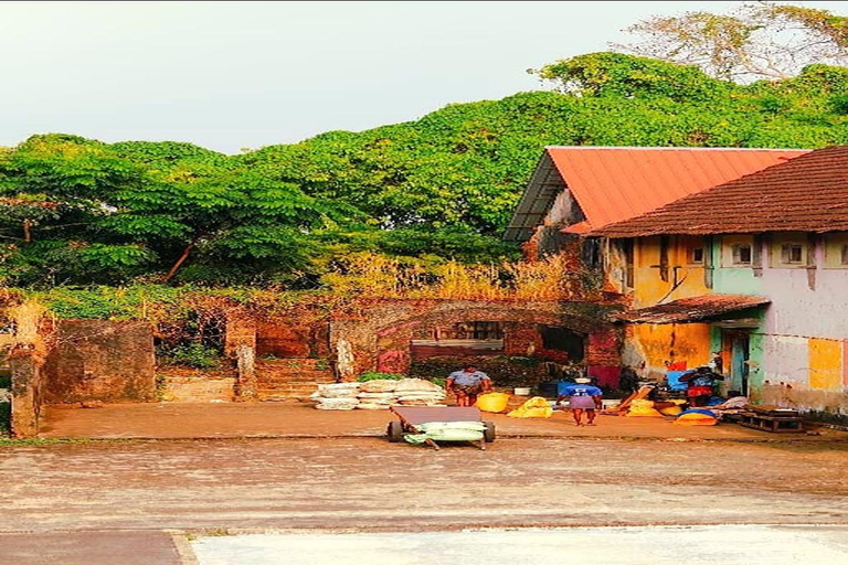 Kochi: Tuk-Tuk-Ausflug mit versteckten SchätzenKochi: Ausflug mit dem Tuk-Tuk zu versteckten Schätzen