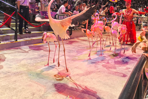 Guangzhou: Chimelong International Circus Ticket VIP Seat Admission Ticket