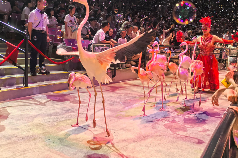 Guangzhou: Chimelong International Circus Ticket VIP Seat Admission Ticket