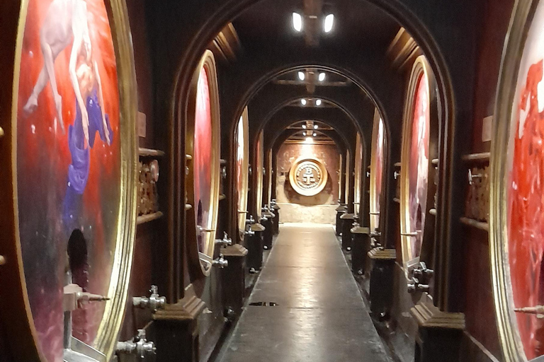 Flavors and wellness: wines, hot springs and gastronomy in Mendoza