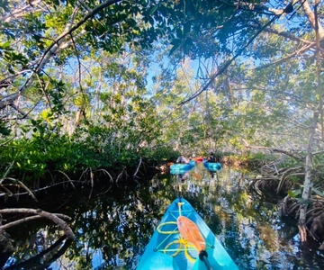 Key West: 2-timmars mangrovekajaktur