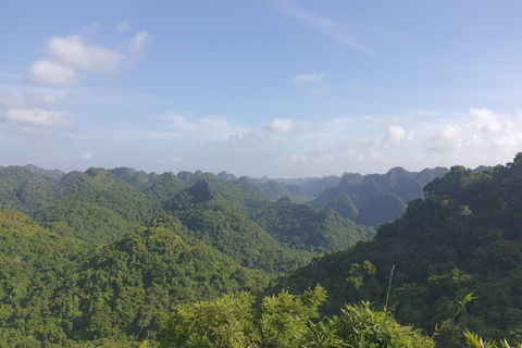 Half day Hiking Cat Ba National Park With guide