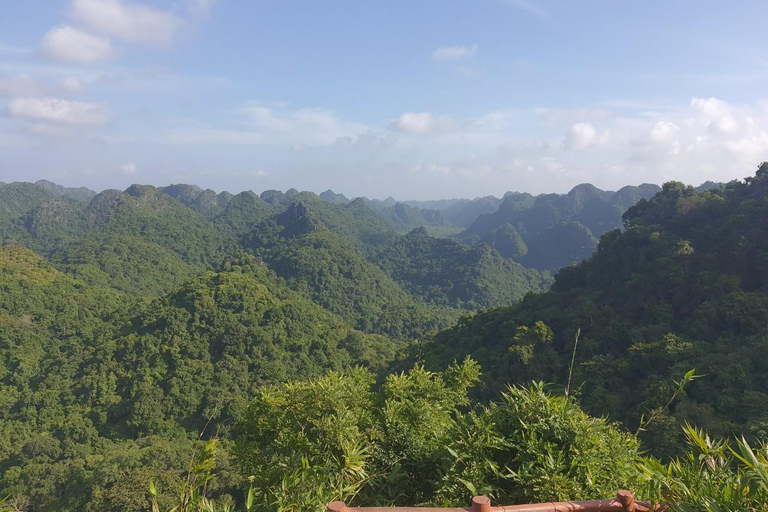 Half day Hiking Cat Ba National Park With guide