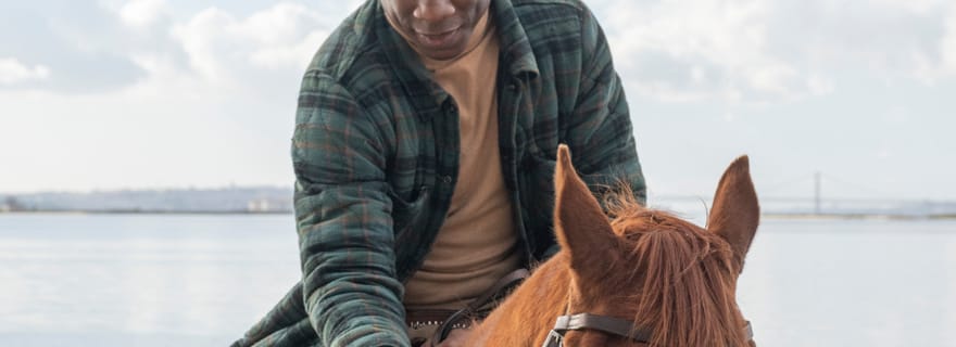 Séance photo avec des chevaux sur la plage ou à la campagne