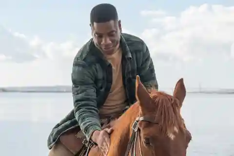 Sesión de fotos con caballos en la playa o en el campo