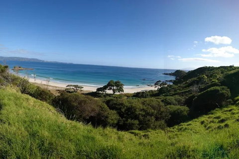 From Auckland: Kiwi Wilderness Experience Guided Tour