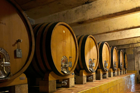 Luberon: Full-Day Wine Tour from Marseille