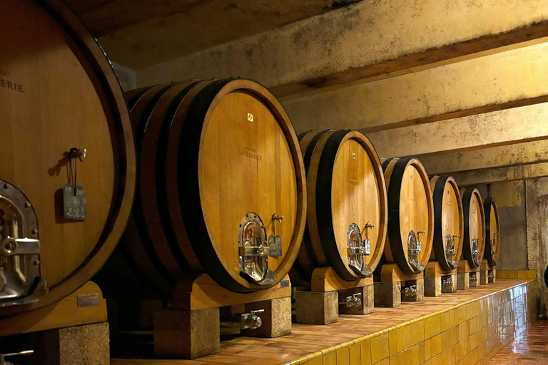 Luberon: Tour de vinos de un día completo desde Marsella