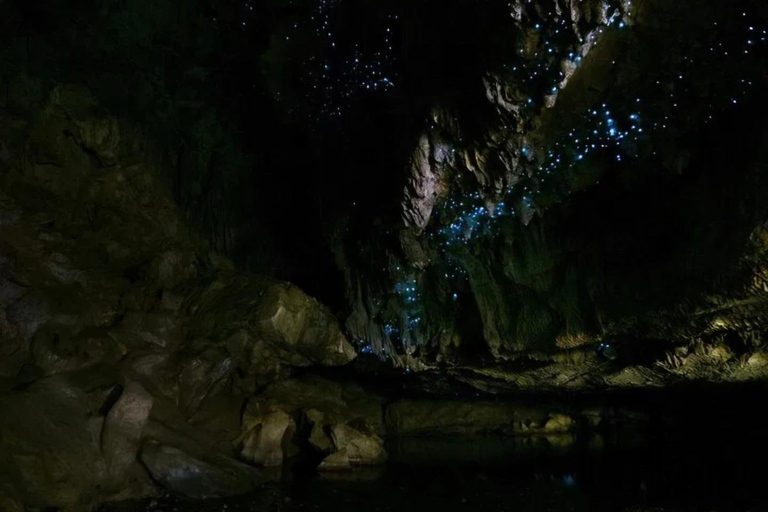 Glowworm Caves & Waterfalls Guided Tour in Bay of Islands