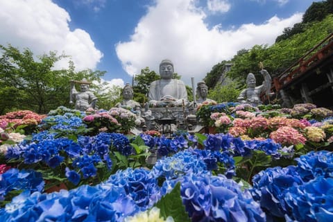 Osaka: Private Day Trip to Mount Yoshino with Guide - 2026