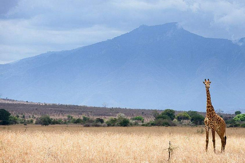 رحلة سفاري لمدة يومين لمشاهدة عجائب الطبيعة الأفريقية