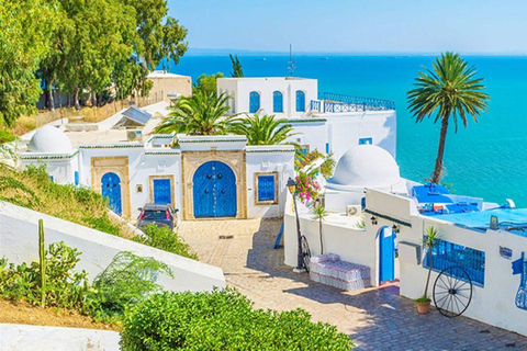 Vanuit Tunis of Hammamet: Carthago, Sidi Bousaid, kamelentocht