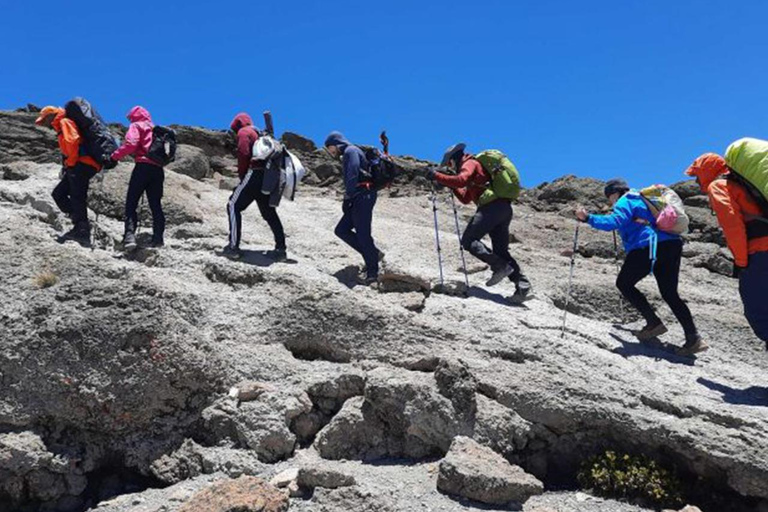 Aventura en la cumbre: Excursión de un día al Monte Kilimanjaro